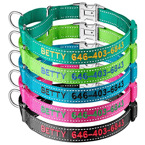 OOPSDOGGY Lederen martingale hondenhalsband