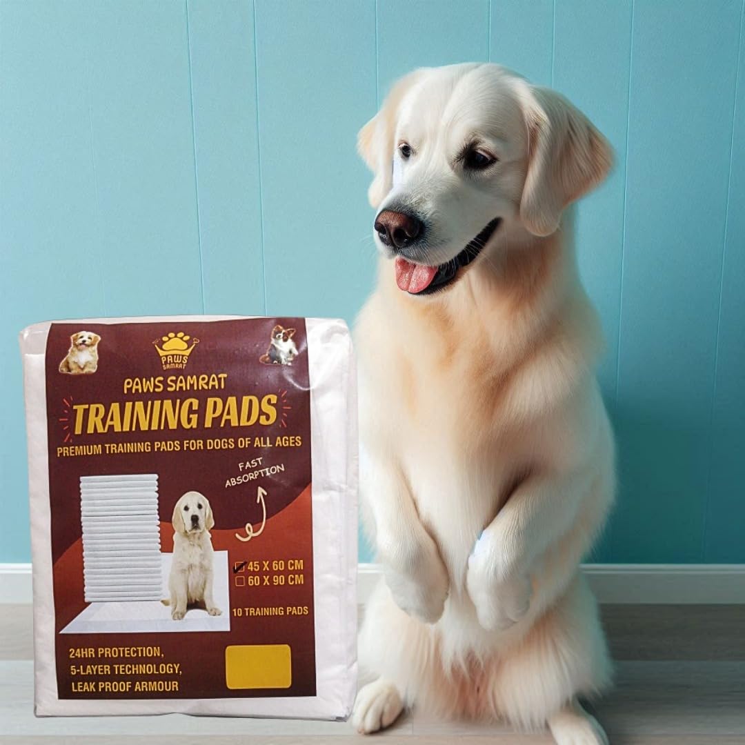 Paws Samrat Pet Training Pads, 45x60 cm, Training Pee & Potty Pads, Heavy Duty, Rapid Dry & Absorbent Core, Suitable for Puppies, Small, Medium, Large Dogs (10 Count) (Pack of 2) (B0DB5XZFYS) Amazon Price History, Amazon Price Tracker