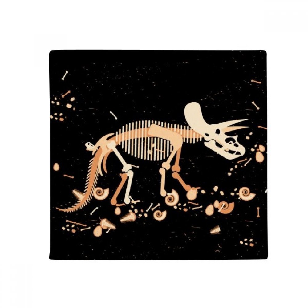 Tapis pour animaux 80x80cm mini dinosaure multicolore antidérapant