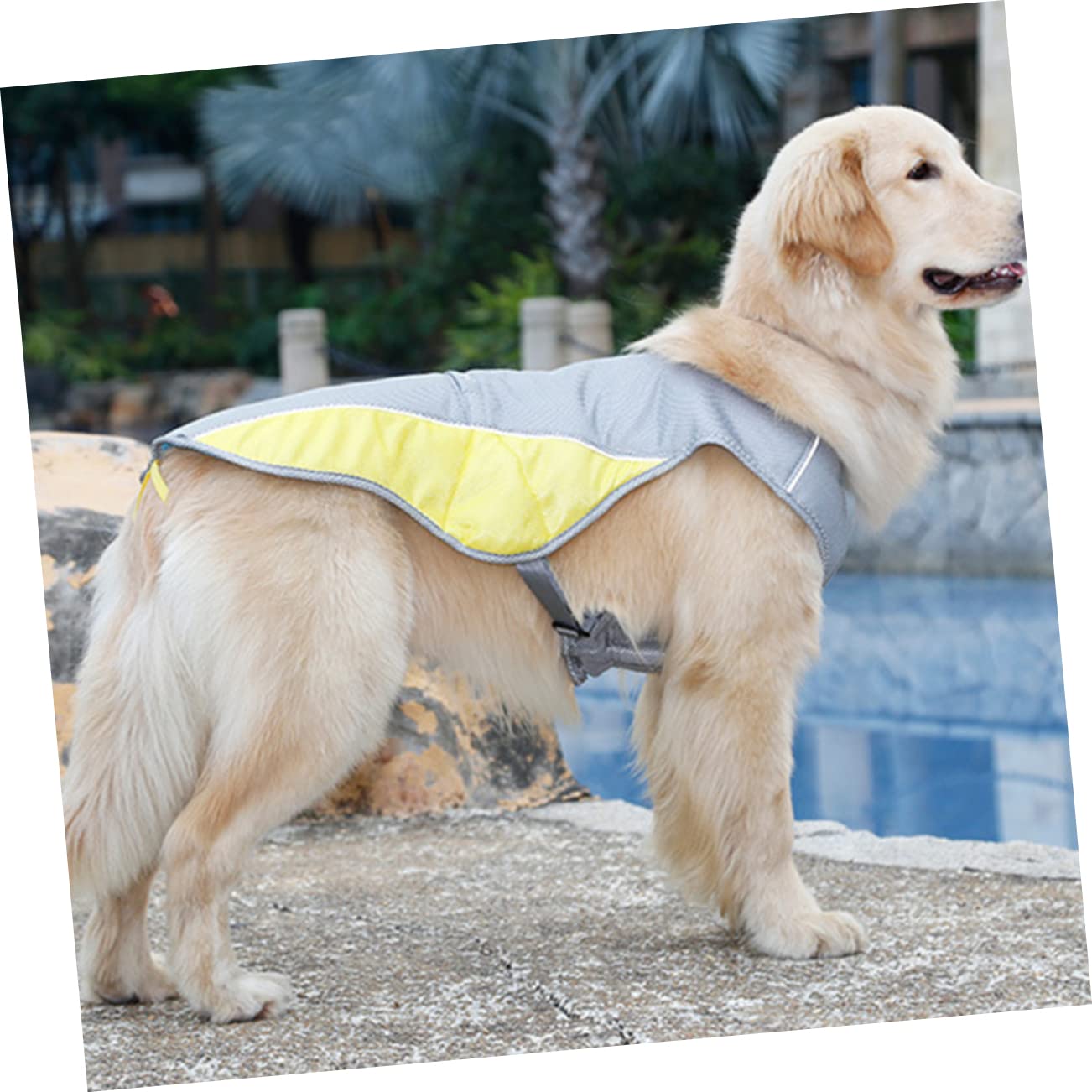 BESPORTBLE 3pezzi Gilet Refrigerante Per Estivi Gilet Traspirante e Riflettente Per Domestici s