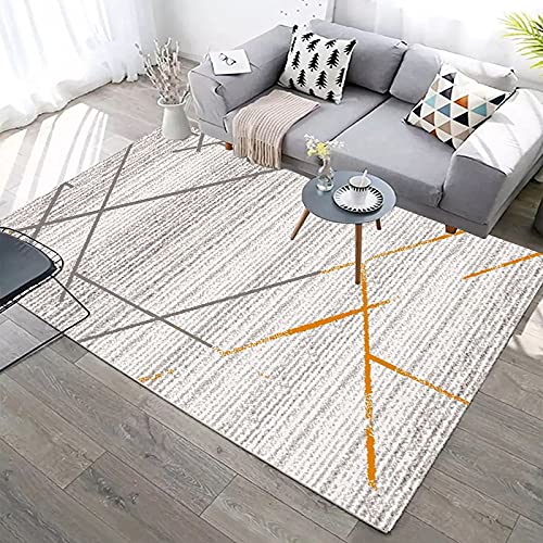 Tapis de décoration d'intérieur géométrique lavable 60x90 - 2