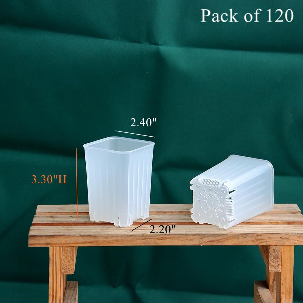 Lot de 120 petits pots de semis carrés en plastique transparent de 6,1 cm avec trou de drainage pour germination, herbes et plantes grasses