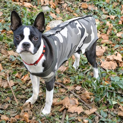 Dotoner Krankenhausanzug für Hunde und Katzen, Wundschutz für Welpen, medizinische Kleidung, nach Operationen, Ersatzkragen und Kegel (XXL, Camouflage)