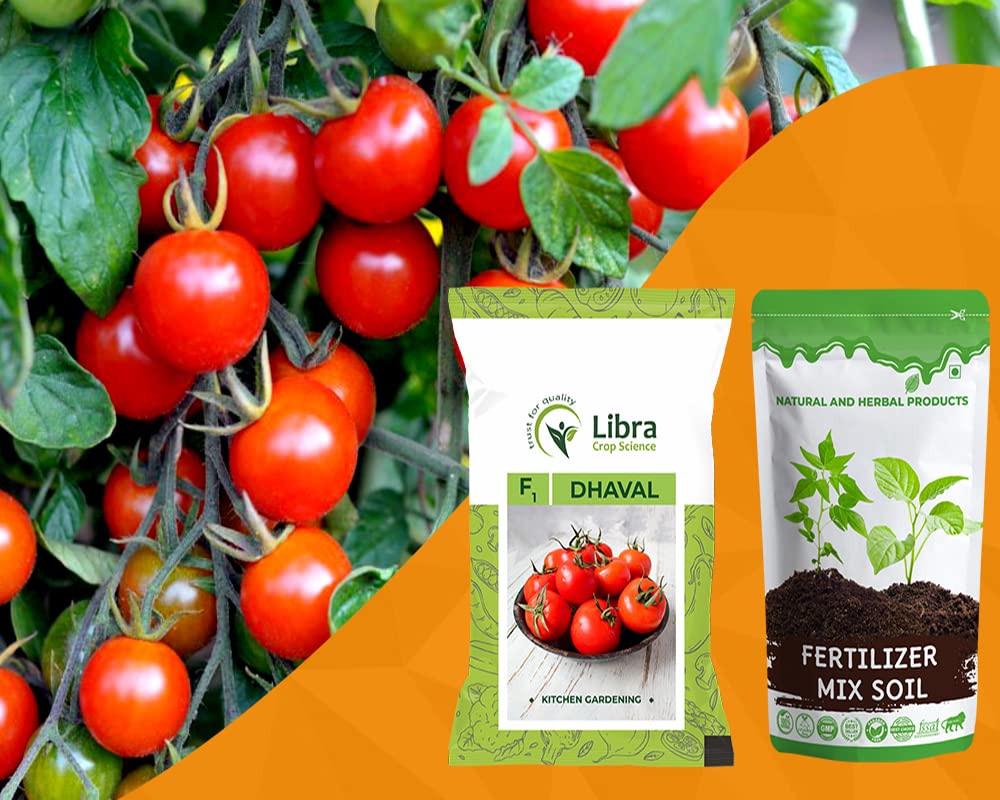Vegetable Seeds | Tomato | Farming | Home | Garden | Hybrid | Kitchen | Planting | Terrace | Balcony | Eating | Solanum Lycopersicum | Tameta | Tamatar | Desi - 0.05 Gram : 163 Seed (B0B2WPYG3Q) Amazon Price History, Amazon Price Tracker