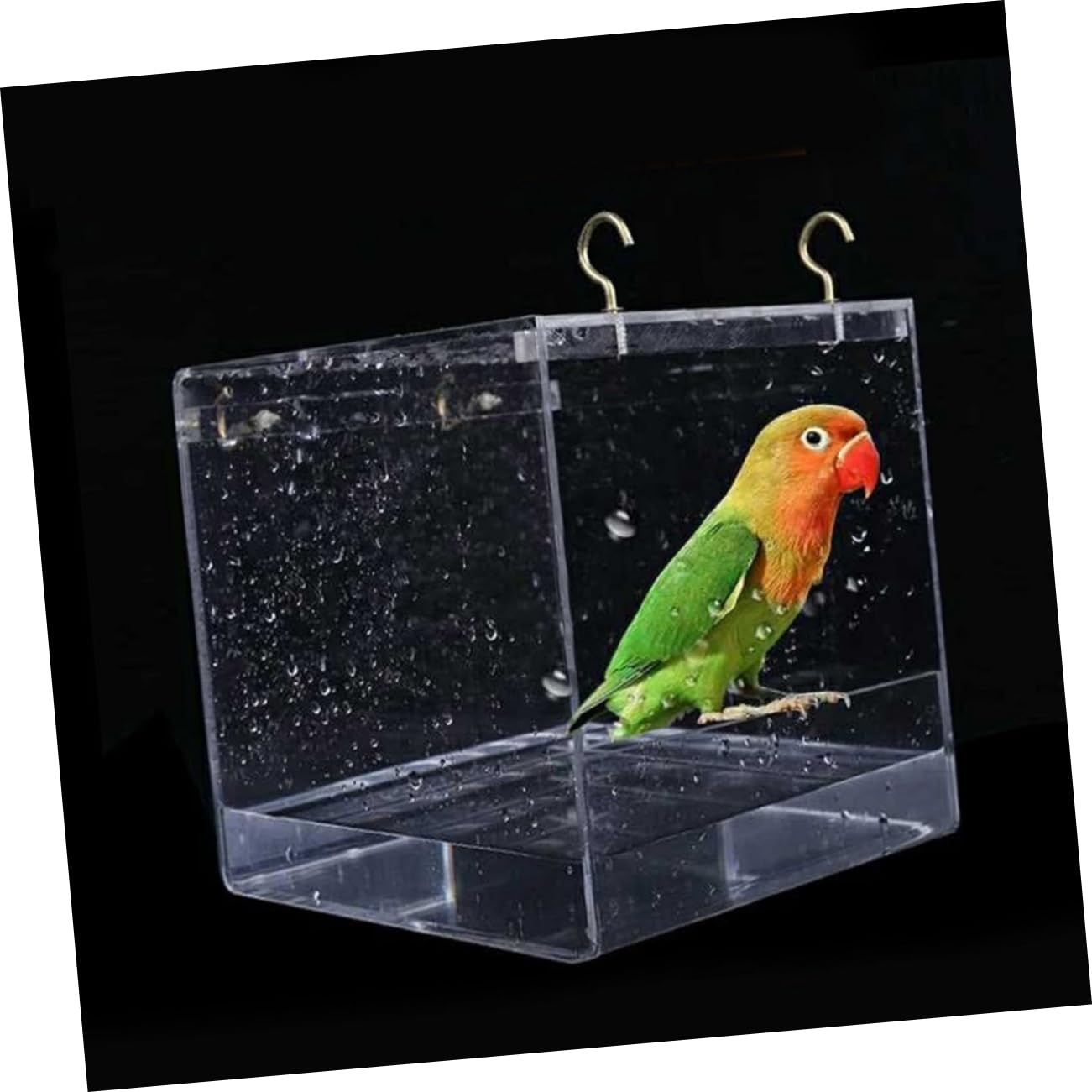 BESPORTBLE Papageienbad aus Kunststoff mit Abdeckung Transparentes Vogelbad für Kleine Vögel und Kanarienvögel als Badekäfigzubehör im Vogelkäfig