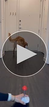 Teach&treat おやつマシーン Amazon.com: PetSafe Teach & Treat Remote Reward Trainer