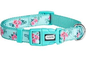 Floral Dog Collar: Turquoise Elegance for Your Canine Companion
