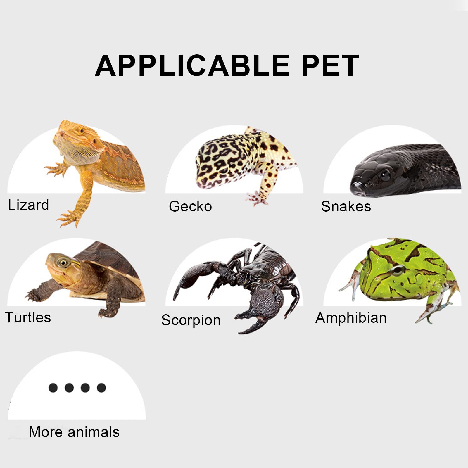 Gavigain Reptile Heat Pad, USB Electric Indoor Tank Terrarium Heating Mat Waterproof Under Tank Warmer Terrarium Heat Pad for Turtles Lizards Frogs and Other Small Animals (L)