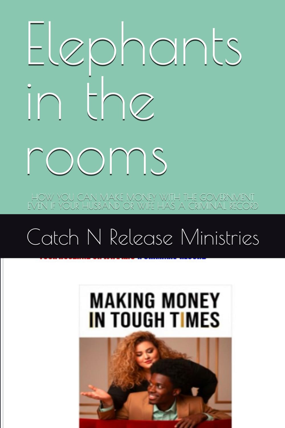 Elephants in the rooms: HOW YOU CAN MAKE MONEY WITH THE GOVERNMENT EVEN IF YOUR HUSBAND OR WIFE HAS A CRIMINAL RECORD