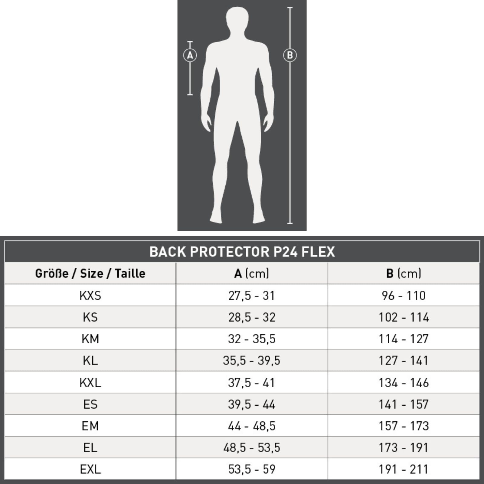 RL24 - Rückenprotektor P24 Flex Swing – Protektorenweste – Reiter Schutzweste – atmungsaktiv & leicht – automatische Weitenregulierung – Unisex Reitweste in Schwarz für Erwachsene