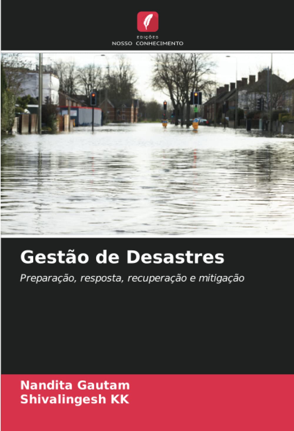Gestão de Desastres: Preparação, resposta, recuperação e mitigação