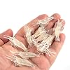 Valkyrie 12 Pieces Phosphor Hook Silicone Shrimp Fishing Rod Feed Fake Artificial Needle Fish Feed White