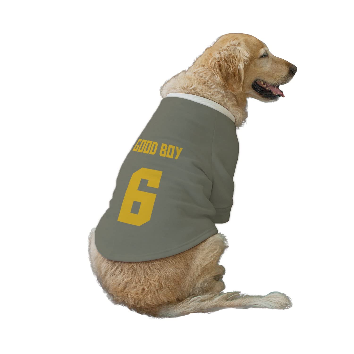 See full amazon price history chart for Ruse Pet Good Boy No.6 Printed Round Neck Full Sleeves Technical Dog Jacket for Dog Clothes Winter Apparel Gift for Dogs.Party Grey/X-Small (Puppy) Ruse Pet Good Boy No.6 Printed Round Neck Full Sleeves Technical Dog Jacket for Dog Clothes Winter Apparel Gift for Dogs.Party Grey/X-Small (Puppy) (B09MNKHT35) Amazon Price History, Amazon Price Tracker