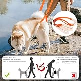 Lollanda Gehhilfe für Hunde Hinten, Tragehilfe für Hunde, Hundegeschirr für Die Hinterbeine, Gehhilfe Hunde zum Unterstützung für Kranke Hund, Älterer Hund, Fördert die Mobilität des Hundes (Orange)