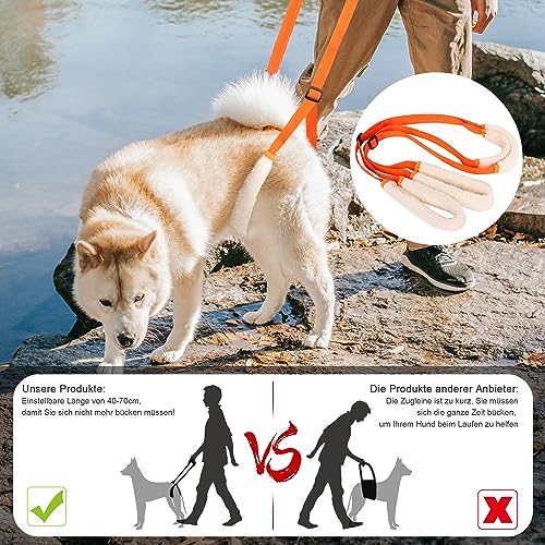 Lollanda Gehhilfe für Hunde Hinten, Tragehilfe für Hunde, Hundegeschirr für Die Hinterbeine, Gehhilfe Hunde zum Unterstützung für Kranke Hund, Älterer Hund, Fördert die Mobilität des Hundes (Orange)