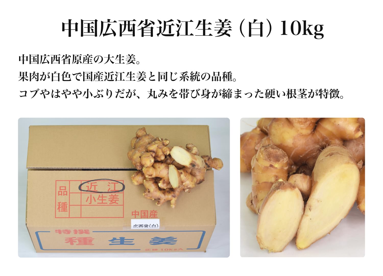 Amazon.co.jp: 種生姜 中国広西省近江生姜（白）10kg : DIY・工具
