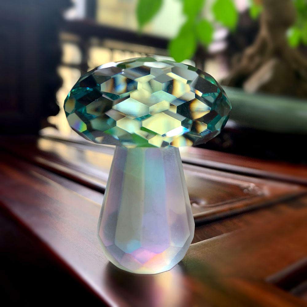 View 6