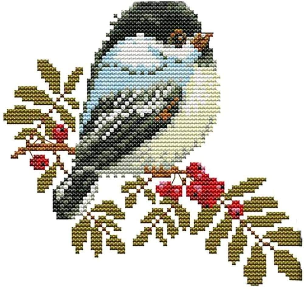 Kit Point De Croix Complet Adulte - Tissu 11CT 40x50cm Pré-imprimé, Motifs Deux Femmes - Broderie DIY, Décoration Maison