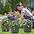 Quarut 10 inch Plastic Flower Pots for Outdoor Plants?4 Pack Large Outdoor Planter Pot with Drainage Holes & Saucers?Imitation Wine Barrel Design?for Indoor Outdoor Garden Plants?Brown?