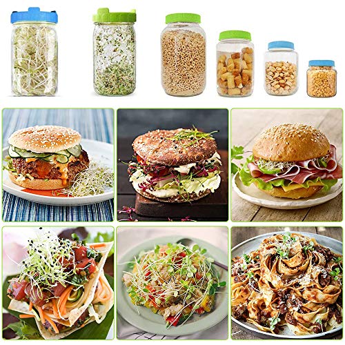 YEVIOR Sprouting Lids,Plastic Sprout Lid,for Wide Mouth Mason Jars, Sprouting Jar Lids Easy Rinse & Drain-Suitable for Grow Bean Sprouts,Alfalfa, Sprouting Kit with Storage Lids–4Pack - Thumbnail 4