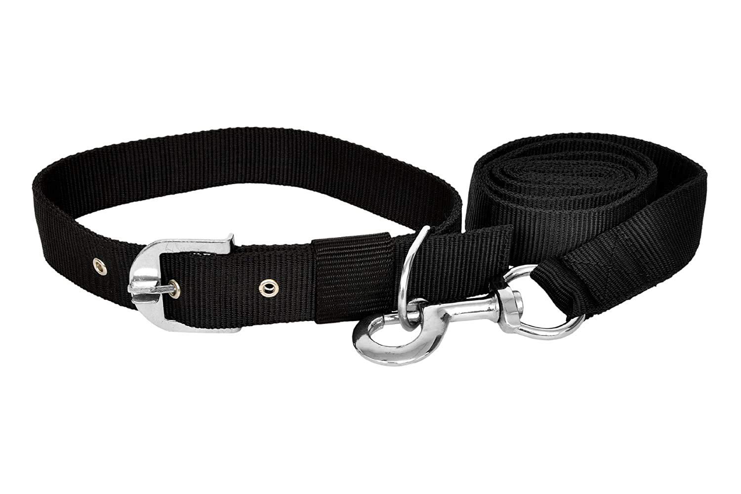 Petvalley Durable Leash and Collar for Small, Medium, Large Sized Dogs, with Strong Hook (Medium -1 inch, Black) (B09MWL3QCV) Amazon Price History, Amazon Price Tracker