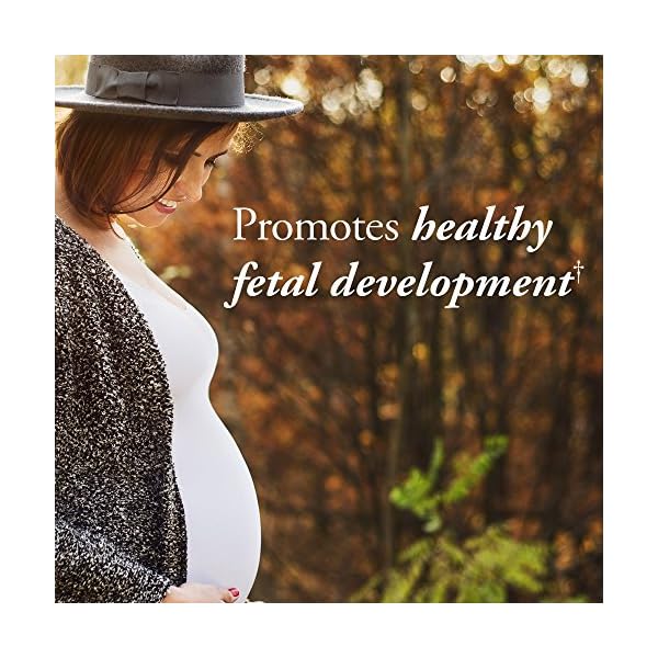 Garden-of-Life-Prenatal-Vitamins-mykind-Organics-Prenatal-Multi-90-Tablets-Vegan-Whole-Food-Multivitamin-Folate-not-Folic-Acid-Stomach-Soothing-Blend-Organic-Prenatals-Supplements-for-Women Women’s Prenatal Multivitamin with Vitamin D3, B6, B12, C & Iron, Folate for Energy & Healthy Fetal Development – Garden of Life Organics – Organic, Non-GMO, Gluten-Free, Vegan, 30 Day Supply