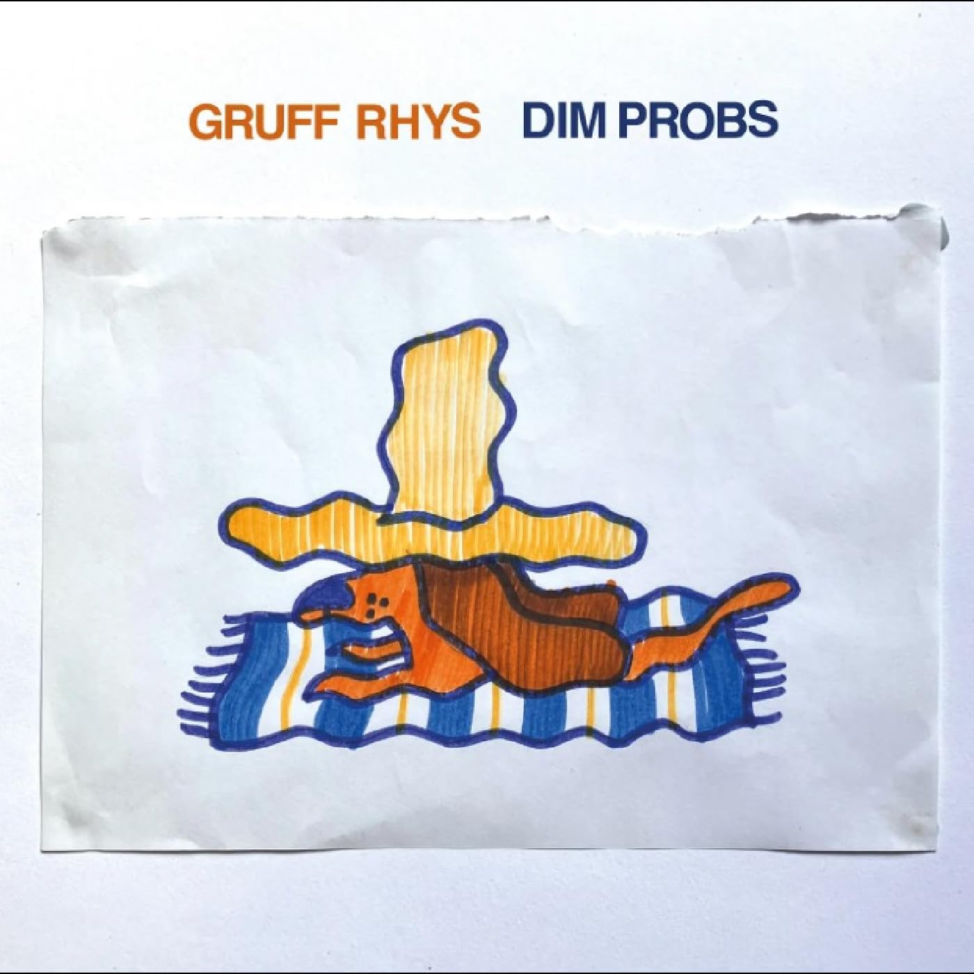 Gruff Rhys - Dim Probs (Rock Action) Vinyl 12"" Album
