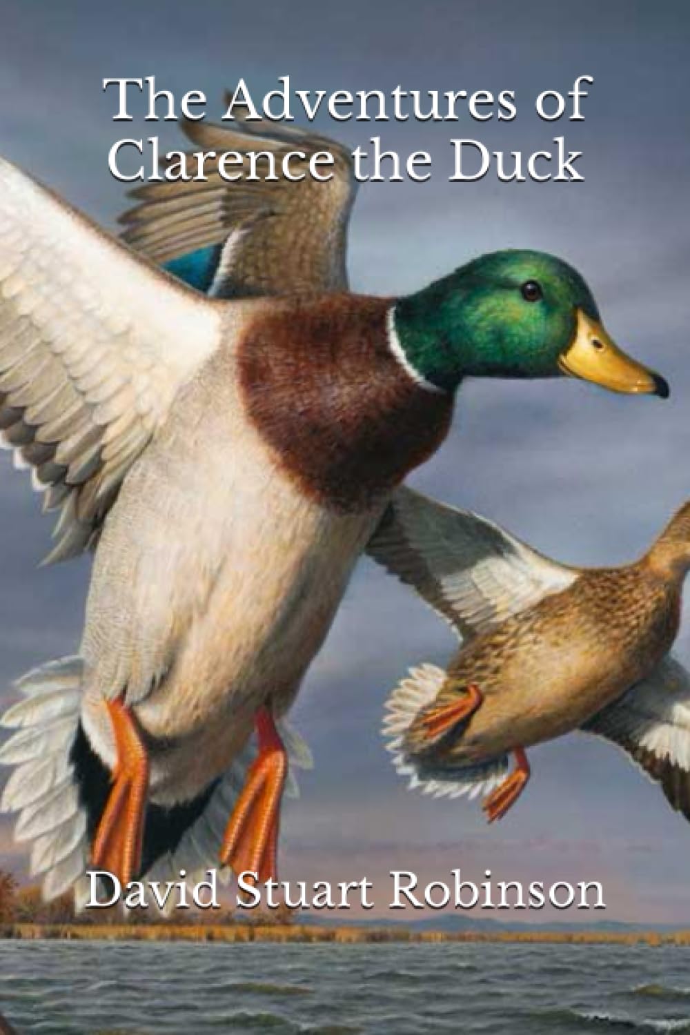 The Adventures of Clarence the Duck