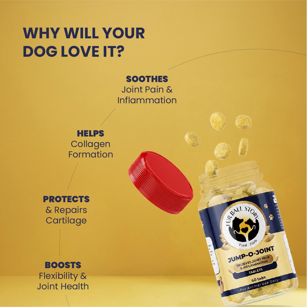 Fur Ball Story Jump-O-Joint Mobility Tablets for Dogs & Cats β 60 Tablets | Supports Joint Health & Flexibility | Promotes Cartilage Support | Daily Joint Supplement 2