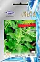 Semi Di Basilico Sacro Thai - Chia Tai, 2400 Semi Per Orto E Giardino - Foto 6