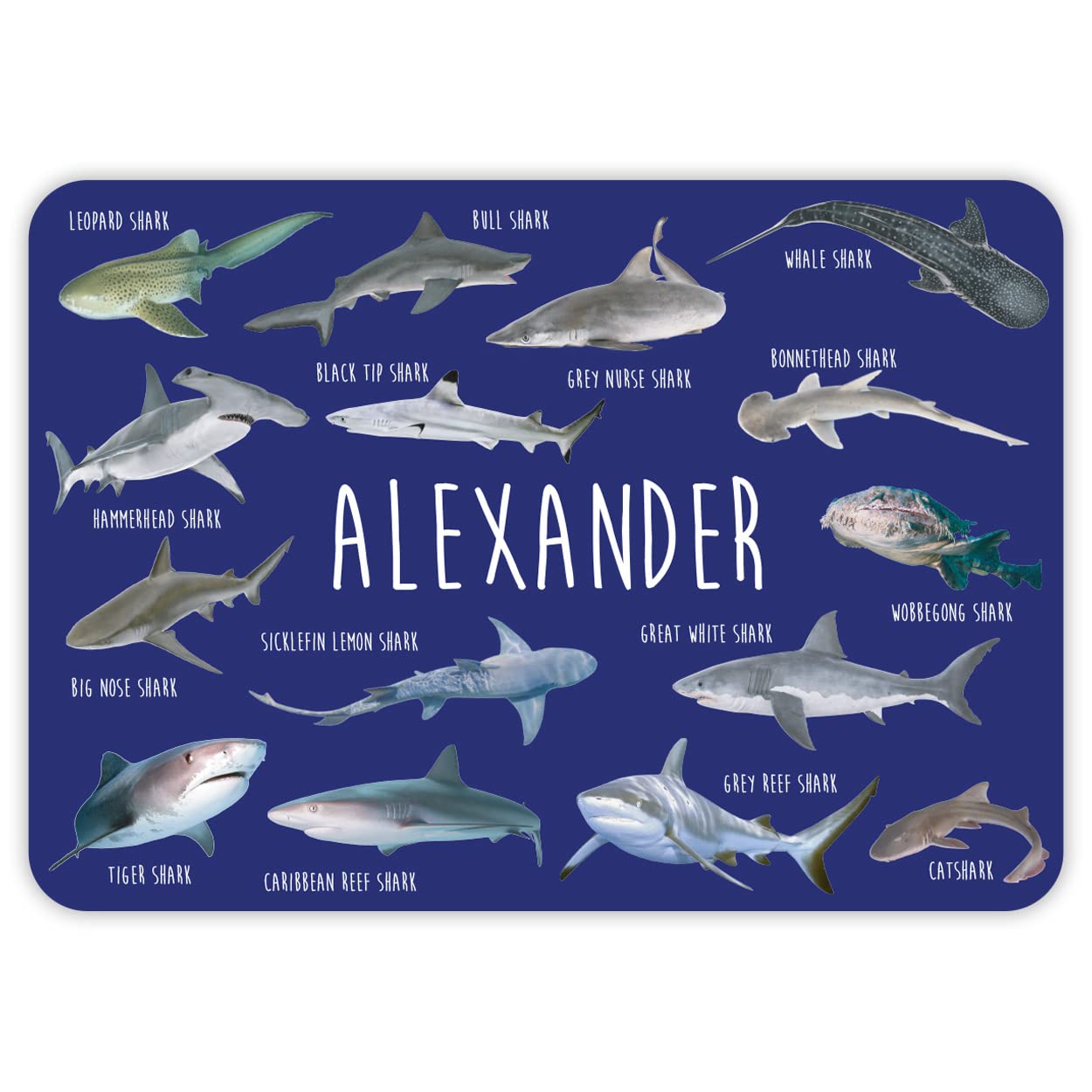 Paper Themes Sharks Personalised Placemat For Kids (Sharks)