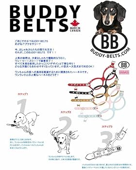 バディーベルト ハーネス 2.5号 ロビンズエッグブルー　新品未使用品 楽天市場】バディーベルト ハーネス 2.5号 ロビンズエッグブルー
