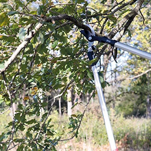 Ciseaux de poda pour branches vertes avec capacité de coupe de 38 mm
