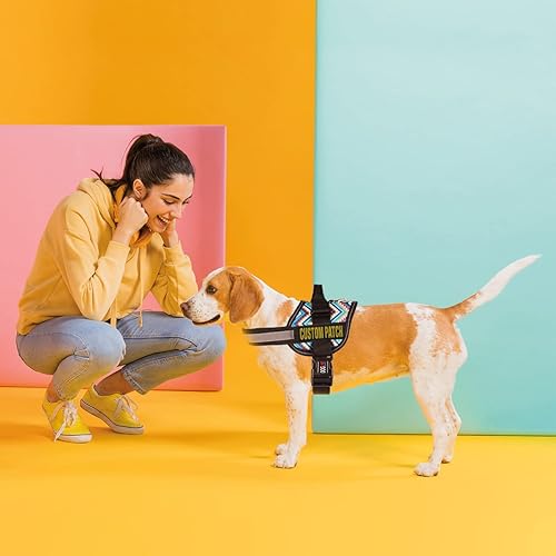 Miniatura 5 de Dogline Parche personalizado con letras con brillantina para perro, chaleco, arnés o collar, parches personalizables con texto brillante