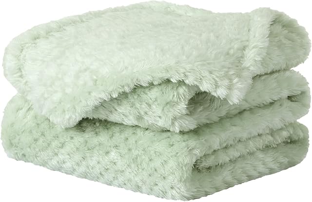 Sourcingmap Flannel Fleece Bed Blankets, Soft Warm Microfiber Blanket, Mesh Fuzzy Plush 330GSM Lightweight Decorative Solid Blankets for Bed Pale Green 75 x 100cm