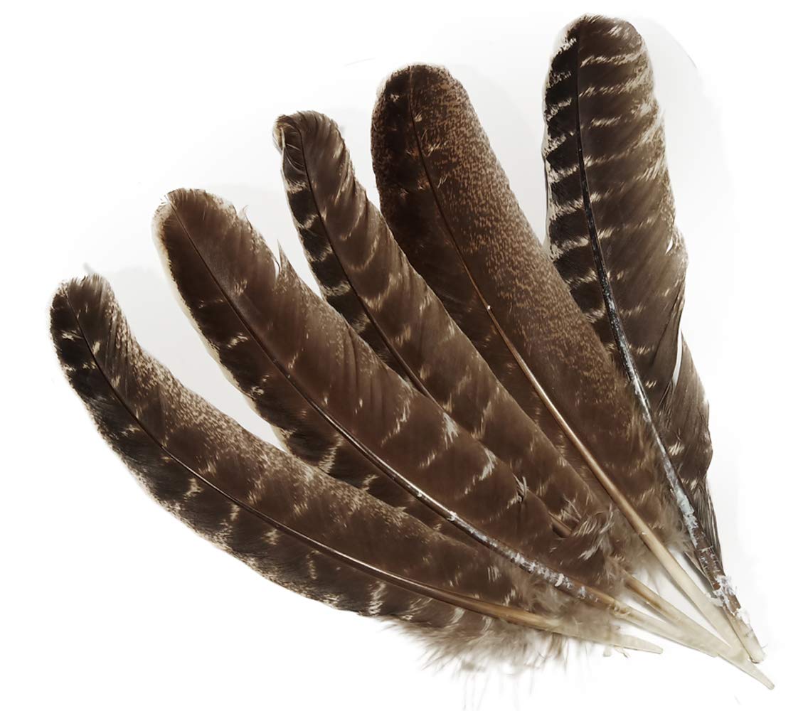 Lampu Natural Turkey Feathers 9-12 inches Crafts hat DIY clothing Decoration per pack of 10