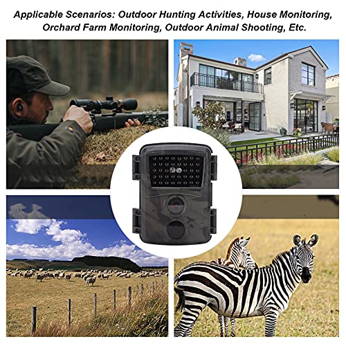Dilwe Câmera para ambientes externos, câmera infravermelha HD1080P de 12 MP, filmadora de vida selva