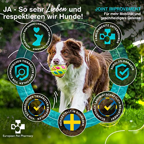 European Pet Pharmacy Joint Max+ Joint Care für Hunde — Nahrungsergänzungsmittel Hund & Katze – Nährstoffreiche Formel mit Grünlippmuschel Hund – Jedes Alter – 140 g Glucosamin Chondroitin Pulver