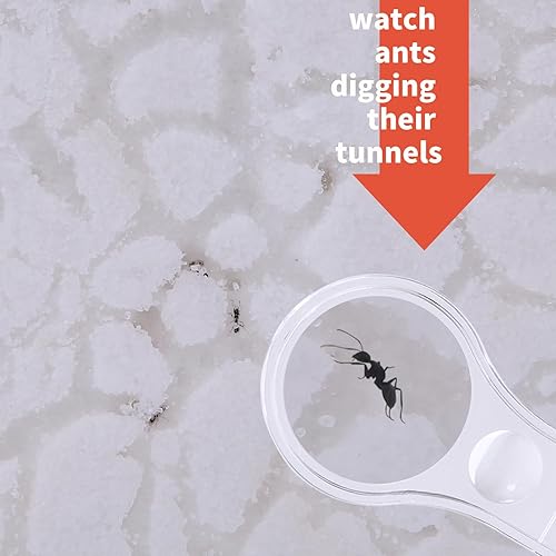 Miniatura 2 de NAVAdeal Sand Ant Farm Castle 2023 Habitat Kit educativo y de aprendizaje de ciencia de juguete para niños y adultos, estudio del ecosistema,