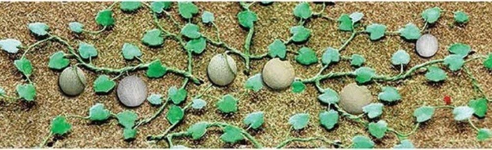 Cantaloupe Patch, 1-3/4" (6)