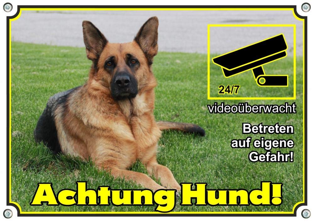 Hundeschild - Deutscher Schäferhund + videoüberwacht - Warnschild, DIN A3