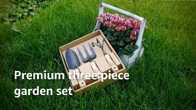 Amazon.com : Dewit 3-Piece Tool Gift Set with 3-Tine Cultivator