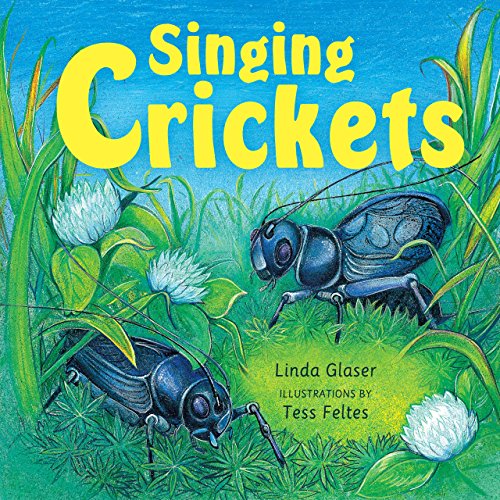 Singing Crickets view 2
