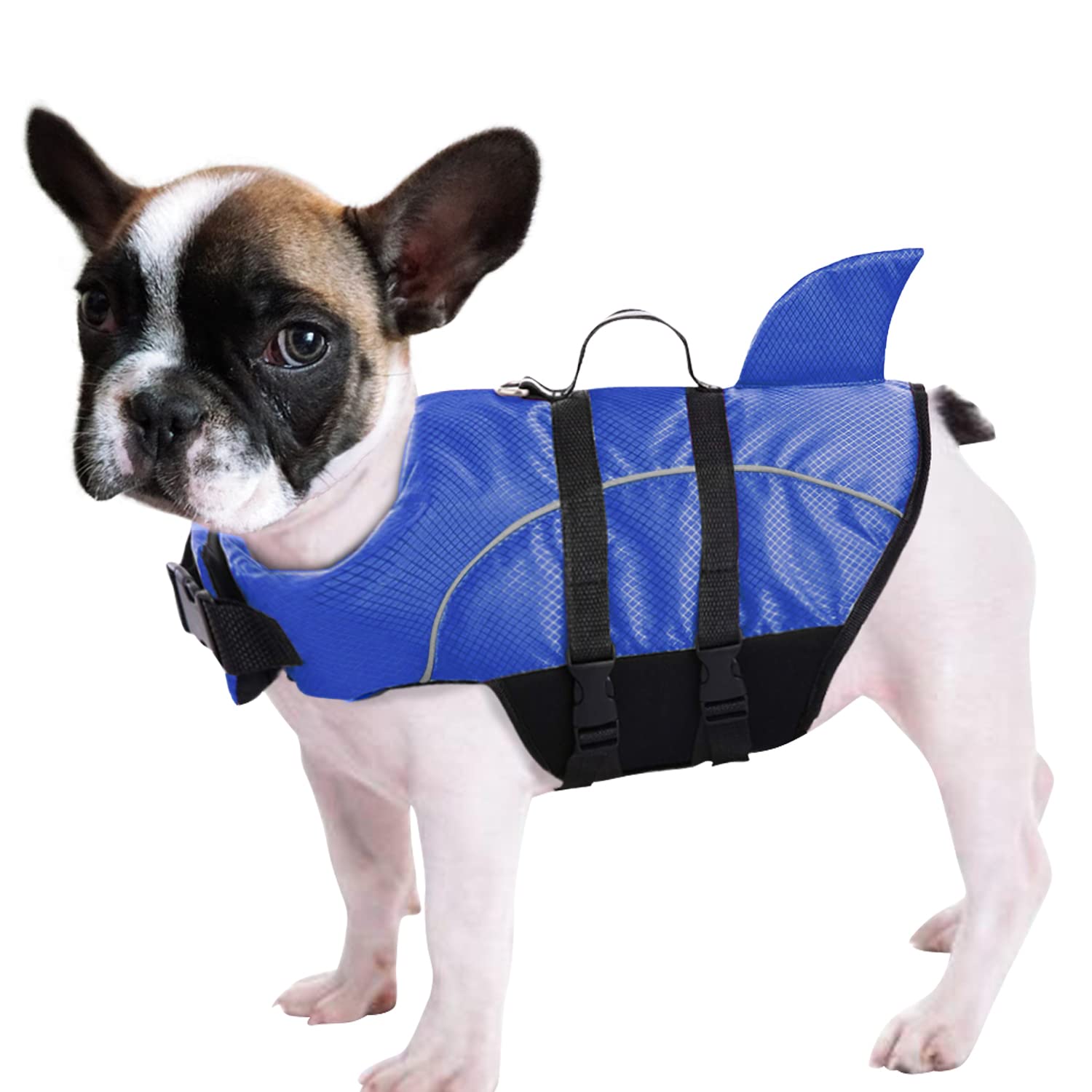 Are Life Jackets Good For Dogs