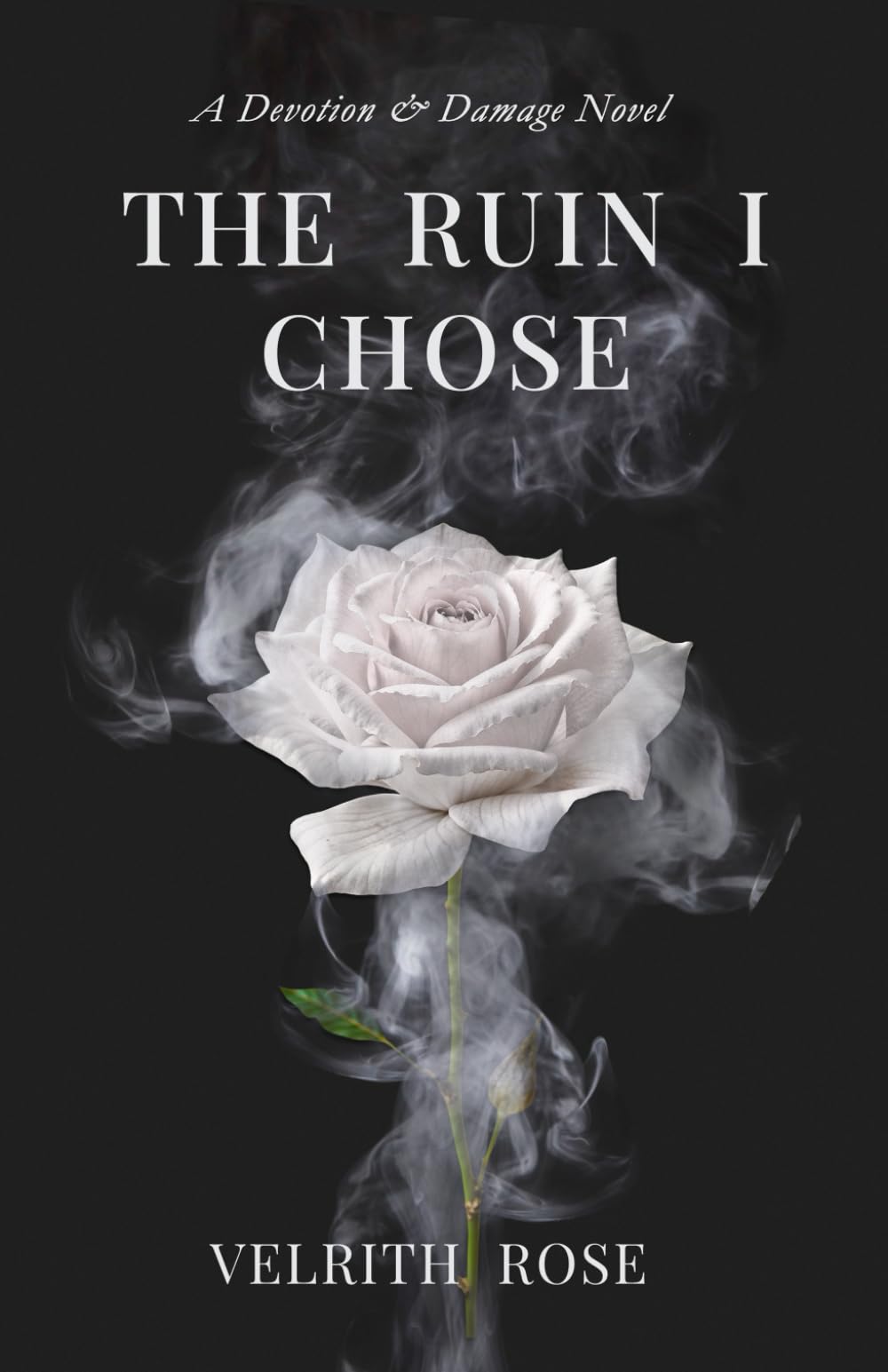 The Ruin I Chose (Devotion & Damage)