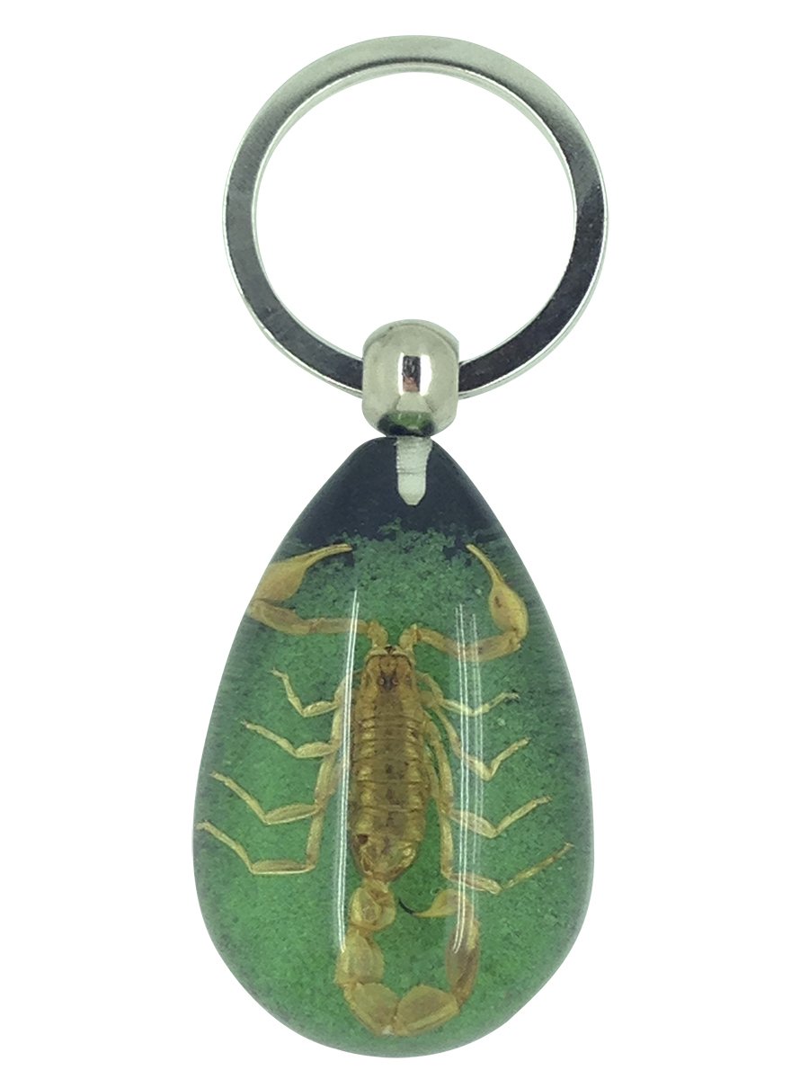 Luck Trader Real Scorpion Green and Black Resin Keyring