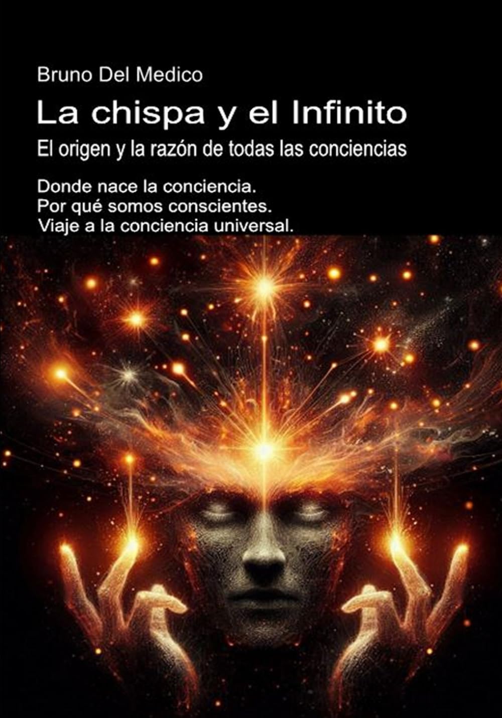 La chispa y el Infinito. El origen y la razón de todas las conciencias: Donde nace la conciencia. Por qué somos conscientes. Viaje a la conciencia ...