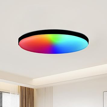 Smart LED Ceiling Light Dimmable, 24W Flush Led RGB Colour Changing | Ceiling Light Compatible with Alexa & Google Home 30CM Ceiling Lamps for Bedroom Bathroom Living Room 2700-6500K [Energy Class E]