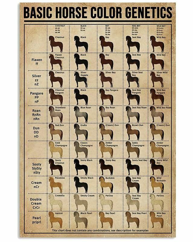 12"x16" Basic Horse Color Genetics Poster, Knowledge Wall Décor Metal Sign Tin Sign Wall Art for Men Home Bathroom