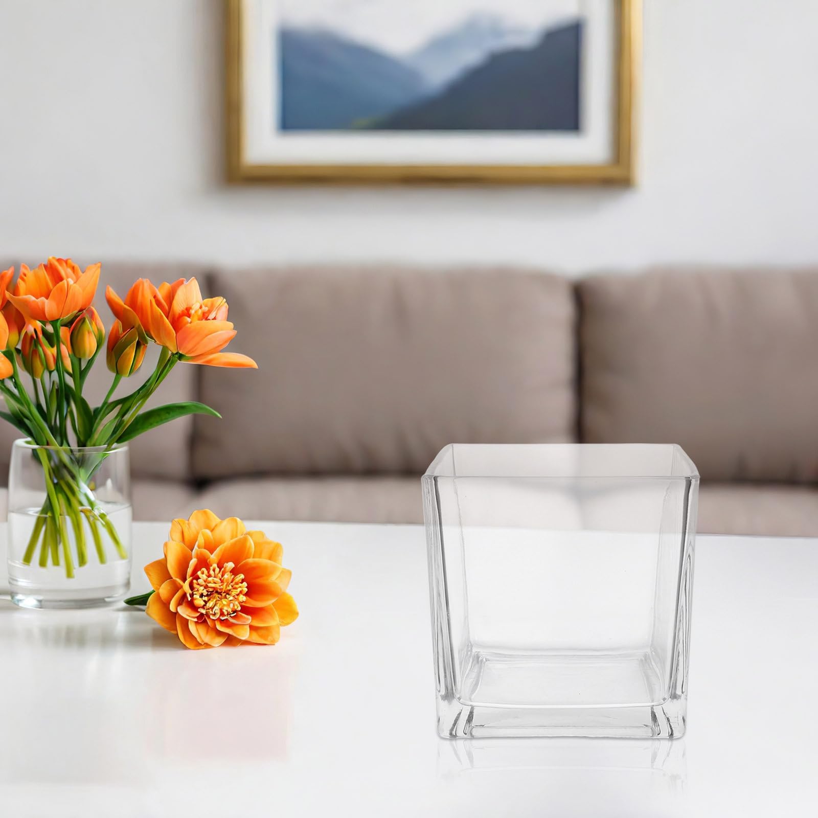 Tofficu Jarrones Cristal de Vidrio Cúbico Transparente, Florero Cubo Moderno para Flores y Plantas Hidropónicas, Decoración de Escritorio y Salón